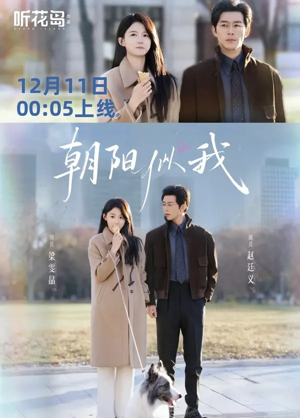 朝阳似我女频情感题材封面